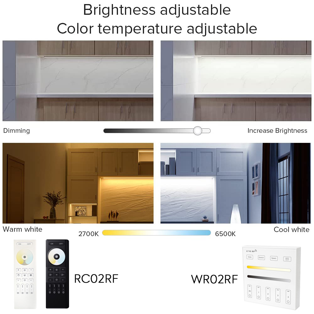 C02W RF and Alexa Tuya WiFi Tunable White LED Controller C02W RF and Alexa Tuya WiFi Tunable White LED Controller